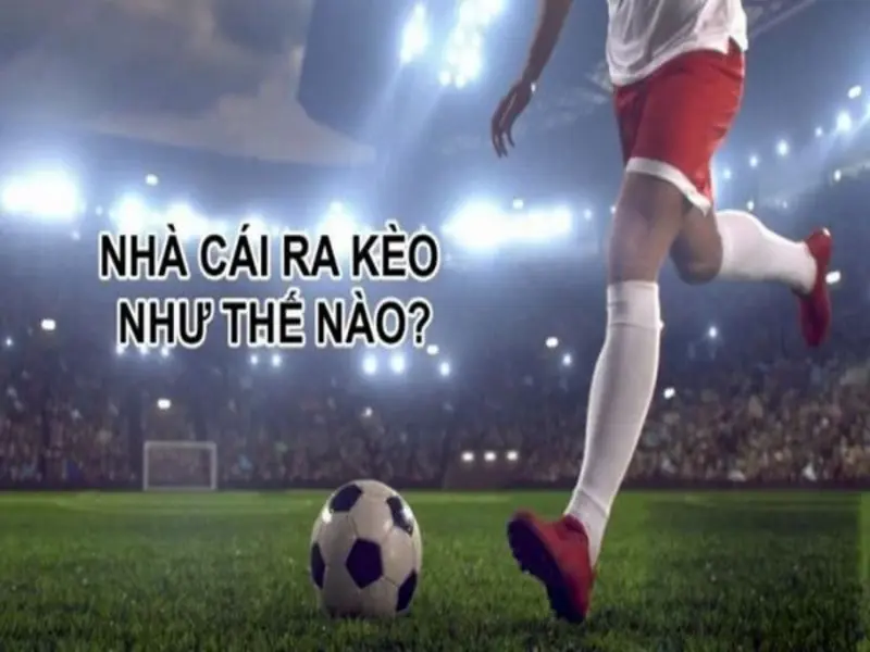 Cách nhà cái ra kèo cược để thu lợi nhuận