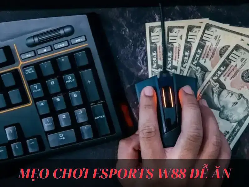 Tính toán cẩn thận là mẹo dễ ăn nhất tại Esports W88