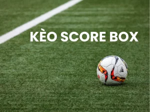 Kèo Score Box và Các Thông Tin Quan Trọng Phải Nắm Rõ